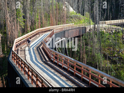 Des promenades en bicyclette à travers trestle à canyon Myra sur la piste cyclable du chemin de fer de Kettle Valley près de Kelowna, Colombie-Britannique, Canada Banque D'Images