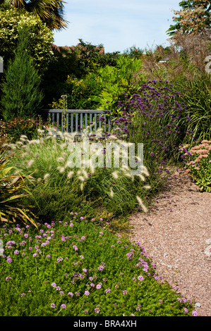 Le jardin sec au jardins clos de Cannington dans Somerset, Royaume-Uni Banque D'Images