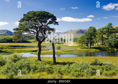 Loch Tulla, Mont Noir, Argyll, Scotland, UK. Banque D'Images