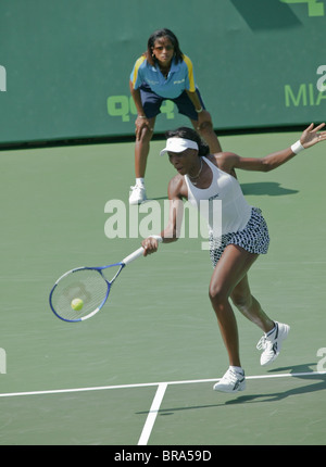 Venus Williams Banque D'Images