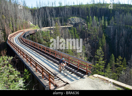 Des promenades en bicyclette à travers trestle à canyon Myra sur la piste cyclable du chemin de fer de Kettle Valley près de Kelowna, Colombie-Britannique, Canada Banque D'Images