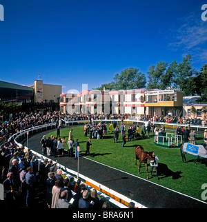 L'hippodrome de Curragh, Co Kildare, Irlande Banque D'Images