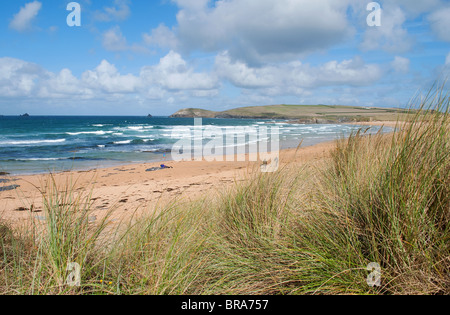 Windswept constantine bay près de padstow à North Cornwall, uk Banque D'Images