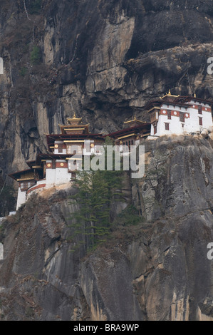 La célèbre Taktshang Goempa le nid du tigre (monastère), Bhoutan, Asie Banque D'Images