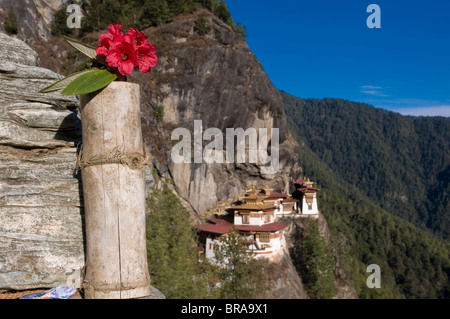 La célèbre Taktshang Goempa le nid du tigre (monastère), Bhoutan, Asie Banque D'Images