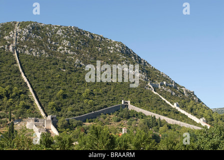 Le mur de Ston, péninsule de Peljesac, Croatie, Europe Banque D'Images