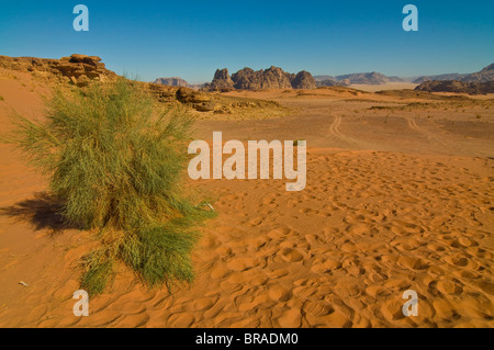 Les superbes paysages du désert de Wadi Rum, Jordanie, Moyen-Orient
