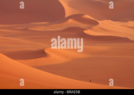 Dans les dunes de l'erg de Murzuk dans le désert du Fezzan, Libye, Afrique du Nord, Afrique Banque D'Images