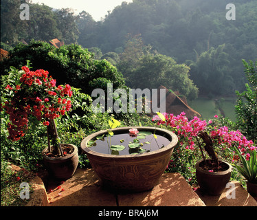 Jardins de loisirs dans la vallée de Mae Sa près de Chiang Mai, Thaïlande, Asie du Sud-Est, Asie Banque D'Images