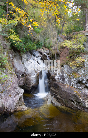 Les chutes de Bruar en automne, près de Blair Atholl, Perth et Kinross, Ecosse, Royaume-Uni, Europe Banque D'Images