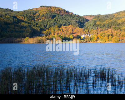 Vue d'automne sur le Loch Achray de collines boisées, Stirling, Scotland, UK Banque D'Images