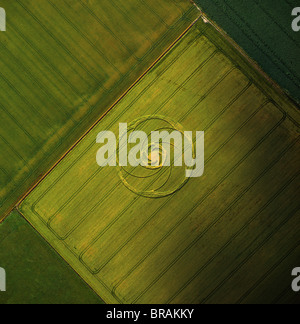 L'image aérienne de l'agroglyphe, Wiltshire, Angleterre, Royaume-Uni, Europe Banque D'Images