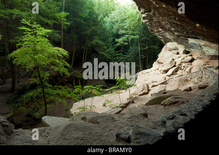 Parc d'État de Hocking Hills, Ohio, États-Unis d'Amérique, Amérique du Nord Banque D'Images