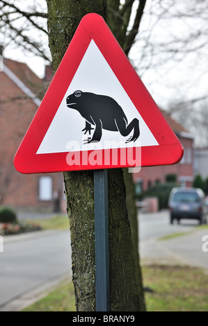 Panneau d'avertissement pour les amphibiens / crapauds traversant la rue pendant la migration annuelle au printemps, Belgique Banque D'Images