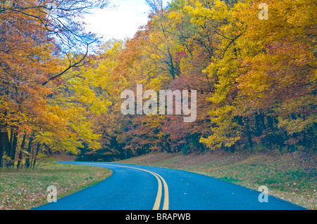 Route menant à travers des arbres à feuillage coloré dans l'été indien, Blue Ridge Mountain Parkway, North Carolina, USA Banque D'Images