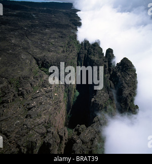 Image aérienne de tepuis montrant la grande fissure et sommet du Mont (Kukenaam Cuguenan Kukenan) (), Estado Bolivar, Venezuela Banque D'Images