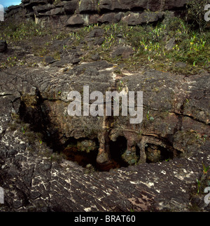 Fosso Sinkhole sur sommet du mont Roraima (Cerro Roraima), Tepuis, Venezuela, Amérique du Sud Banque D'Images