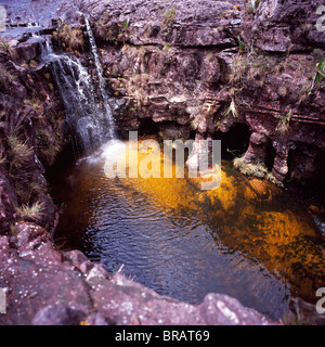 Fosso doline, sommet du mont Roraima (Cerro Roraima), Tepuis, Venezuela, Amérique du Sud Banque D'Images