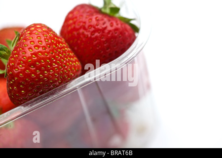 Punnett de fraises Banque D'Images