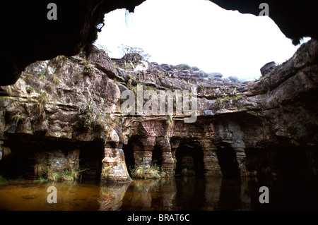 Fosso doline, sommet du mont Roraima (Cerro Roraima), Tepuis, Venezuela, Amérique du Sud Banque D'Images