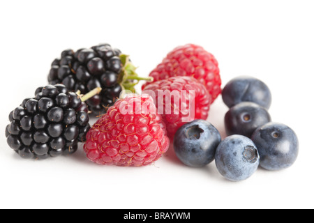 Fruits des bois isolé sur fond blanc Banque D'Images