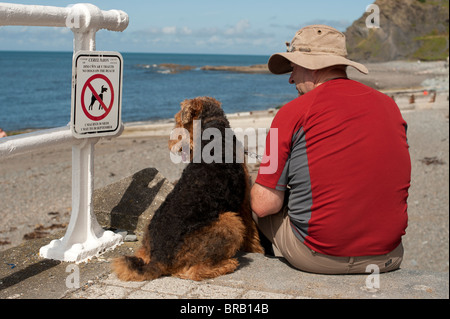 Un homme avec son chien assis à côté d'un "pas de chiens sur la plage d'Aberystwyth Wales UK sign' Banque D'Images