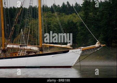 Ancré dans le port, l'île Stuart Reid, et le grand voilier "Zodiac", San Juan Islands, Puget Sound, Washington, USA. Banque D'Images