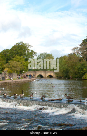 À Wye River, Bakewell, Derbyshire Peak District UK Banque D'Images