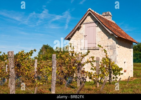 Petite maison et de vignobles - Indre-et-Loire, France. Banque D'Images