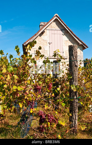 Petite maison et de vignobles - Indre-et-Loire, France. Banque D'Images