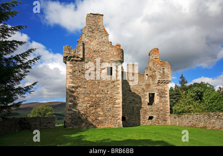 Ruines de Glenbuchat Château, Strathdon, Aberdeenshire, Ecosse, Royaume-Uni. Banque D'Images