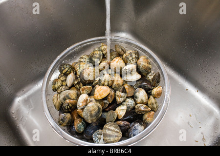 Un bol en verre de coquillages d'être rincé à l'eau sous un robinet. Banque D'Images