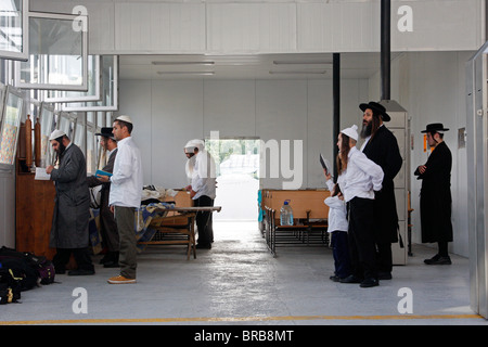 Les pèlerins hassidiques juifs prient dans les locaux près de la tombe du légendaire Hassidic Tsaddik Rabbi Nachman (Nakhman) Banque D'Images