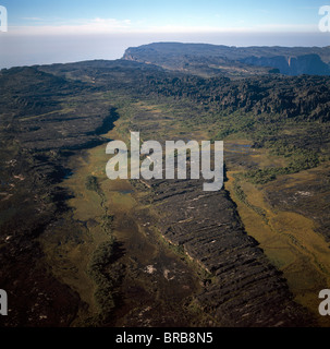 Image aérienne de tepuis montrant les marais et les labyrinthes rock, Roraima, Venezuela Banque D'Images