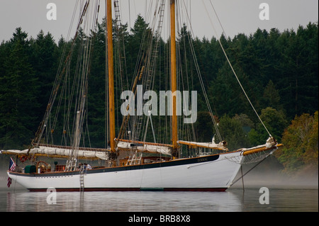 À bord du grand voilier historique 'zodiac' nous sommes allés croisière à travers les îles de San Juan dans la région de Puget Sound dans l'État de Washington Banque D'Images