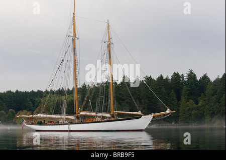 À bord du grand voilier historique 'zodiac' nous sommes allés croisière à travers les îles de San Juan dans la région de Puget Sound dans l'État de Washington Banque D'Images