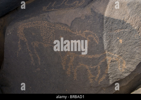 Vieux rock inscriptions en nﾫAjjer du Tassili, au Sahara Occidental, le sud de l'Algérie, l'Afrique du Nord Banque D'Images