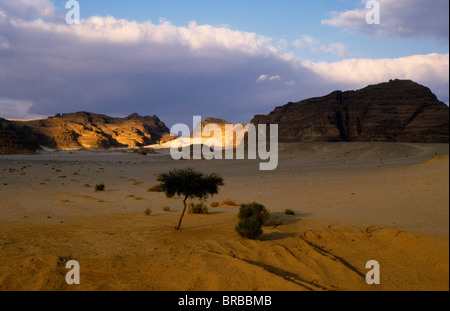 L'Egypte désert du Sinaï le monastère Sainte-Catherine. Banque D'Images