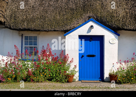 Le comté de Wexford IRLANDE Kilmore Quay Banque D'Images