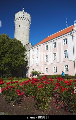 Hermann Pikk Hermann (Grand) Tour au Château de Toompea, Toompea, Tallinn, Estonie, Pays Baltes Banque D'Images