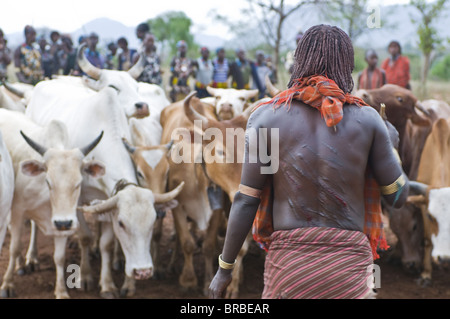 Purge Hamer femme après avoir été fouetté, le saut du taureau cérémonie, vallée de l'Omo, Ethiopie Banque D'Images