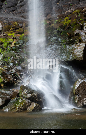 Le pied de Hardraw Force cascade dans le Parc National des Yorkshire Dales, Hardraw, Yorkshire du Nord Banque D'Images