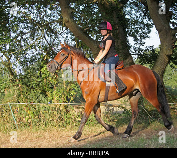 Un teeage girl riding une baie magnifique Welsh Cob Banque D'Images