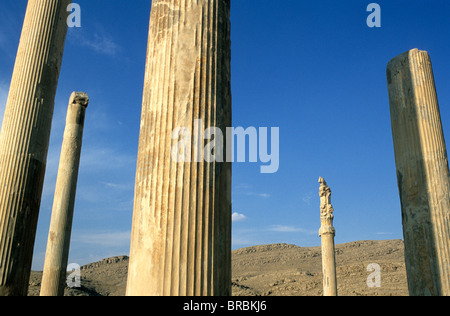 Colonnes à Persépolis, près de Chiraz, dans le sud de l'Iran Banque D'Images