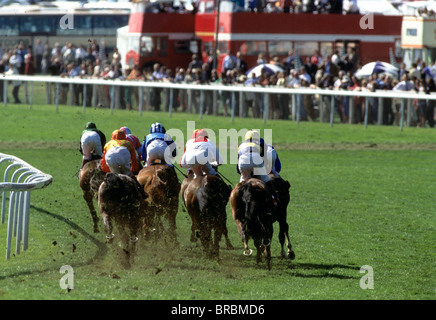 Groupe de chevaux course autour de virage à gauche sur le cours Banque D'Images