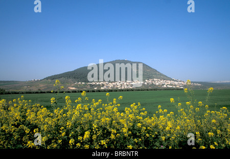 Le Mont Thabor au cœur de la vallée de Jezreel, Israël Banque D'Images