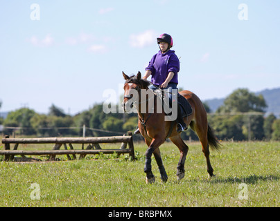 Un teeage girl riding une baie magnifique Welsh Cob Banque D'Images