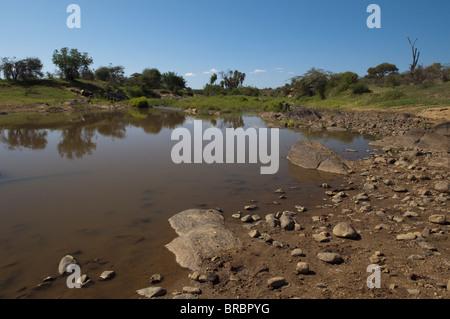 Loisaba Wilderness Conservancy, Laikipia, Kenya, Afrique de l'Est Banque D'Images