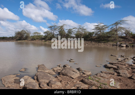 Loisaba Wilderness Conservancy, Laikipia, Kenya, Afrique de l'Est Banque D'Images
