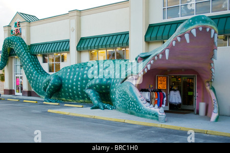 Une boutique de cadeaux originale de Surf City accueille les visiteurs par une entrée massive en bouche d'alligator, mêlant charme de la ville balnéaire et plaisir ludique en bord de route. Banque D'Images